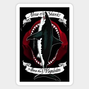 Megalodon Magnet